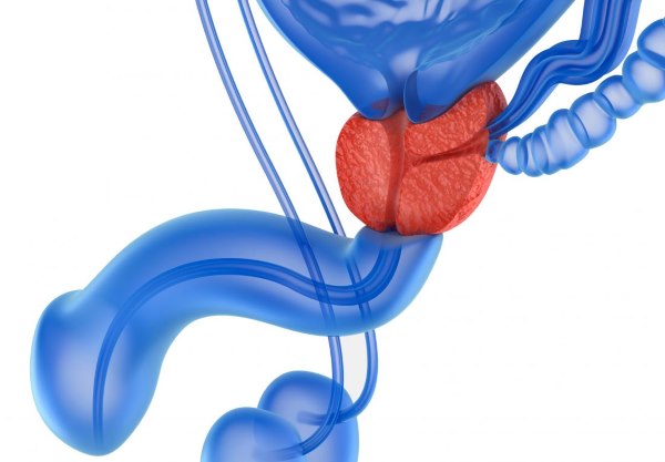 A prostatitis yatryshnik kezelése enlarged prostate surgery cost